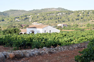 Pepe Mendoza. Artesano del vino.